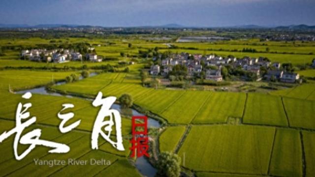 mk体育网页版-“苏超”赛场“气晕”的小恐龙有IP文创了